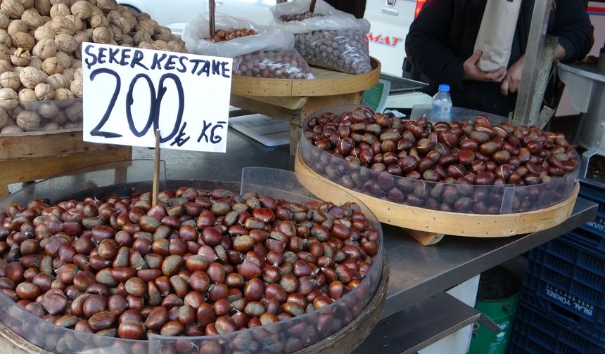 Kestane yemek isteyen iki kez düşünüyor!