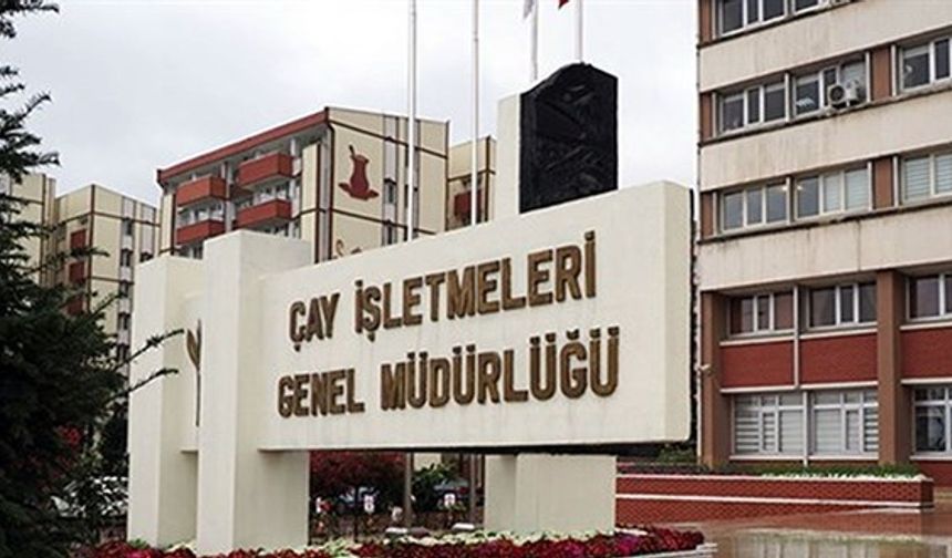 Çay İşletmeleri Genel Müdürlüğü 1500 işçi alacak! Başvuru için son günler