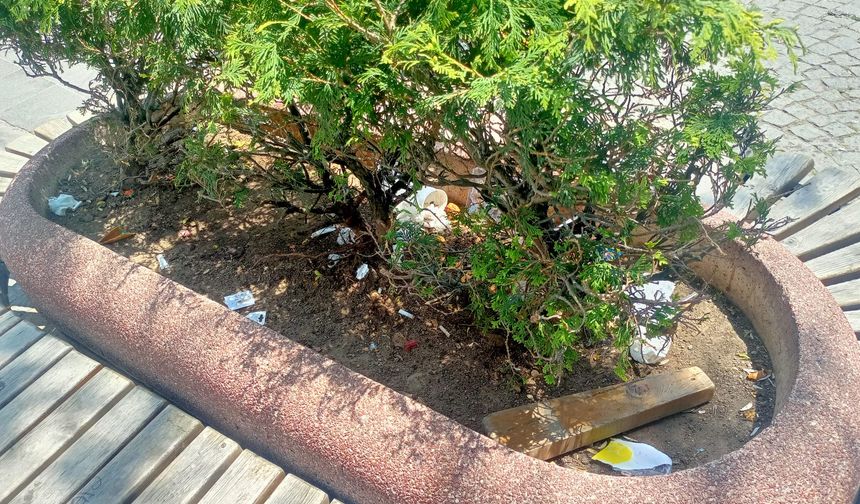 Eskişehir'de yeşil alanlar adeta çöplüğe dönüyor!