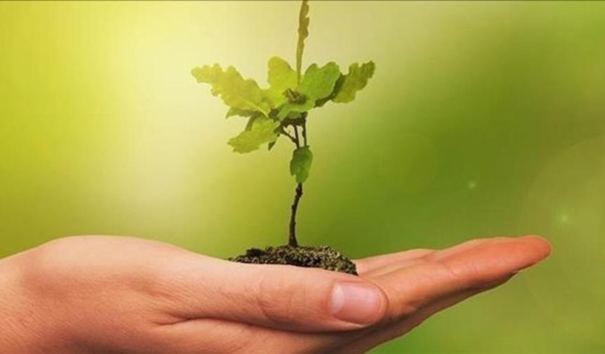 Meclis’te sıfır atık başarısı: 1151 ağaç kesilmekten kurtuldu!