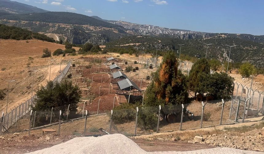 Bilecik'te Sokak Hayvanları Doğal Yaşam Alanı'nı ruhsatsız çıktı
