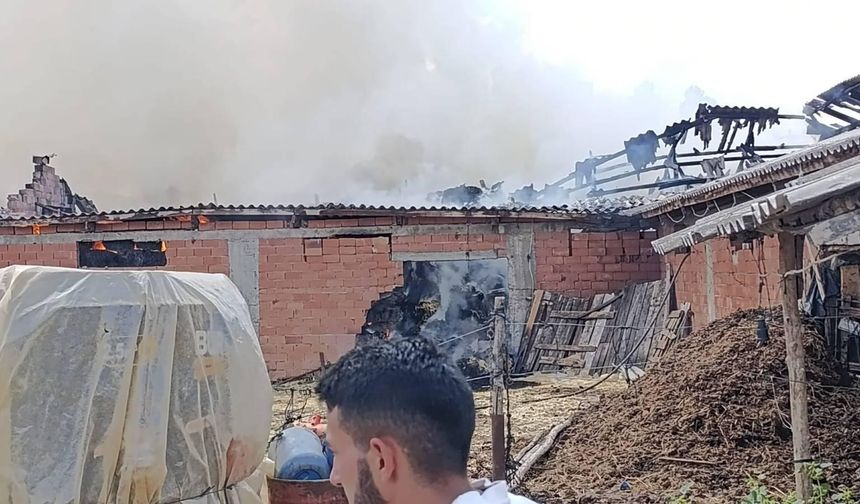 Pazaryeri’nde ahır yangını paniğe neden oldu