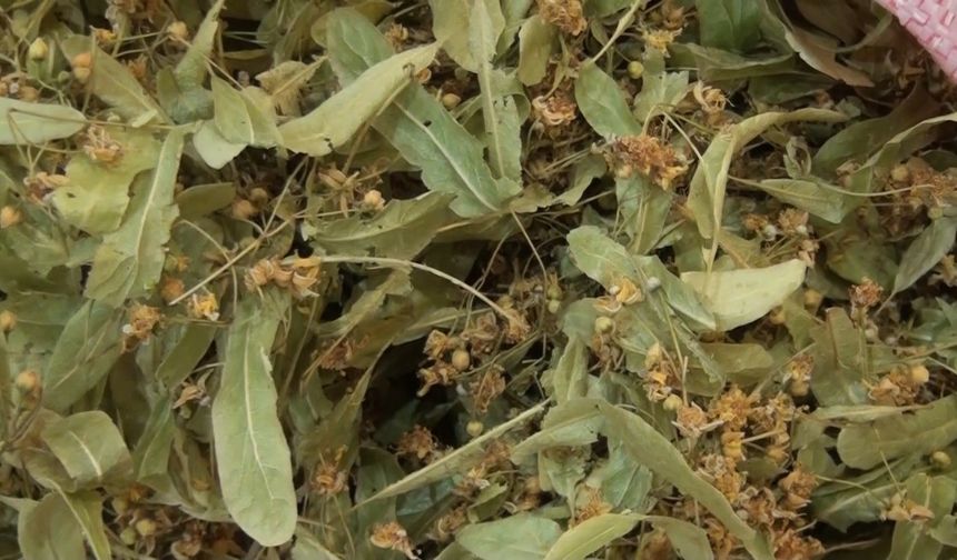 Kütahya’da aktarlara talep kışla birlikte arttı