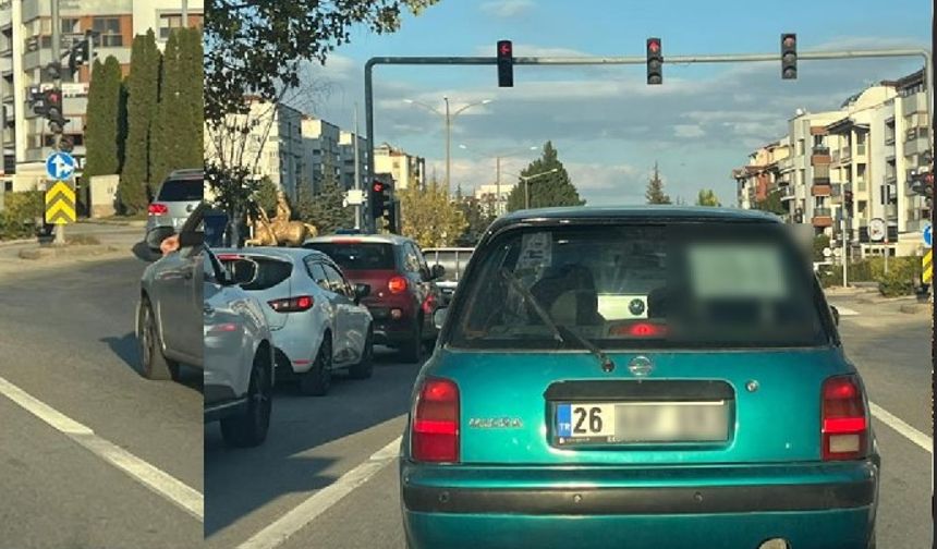 Eskişehir trafiğinde bu aracı görürseniz acele ettirmeyin!
