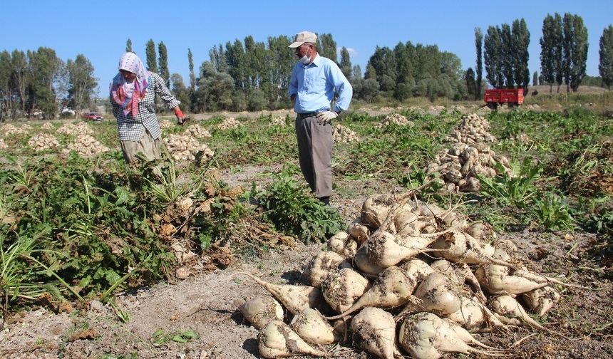 Eskişehirli çiftçiler isyan etti: “Bu fiyatla ayakta kalamayız”