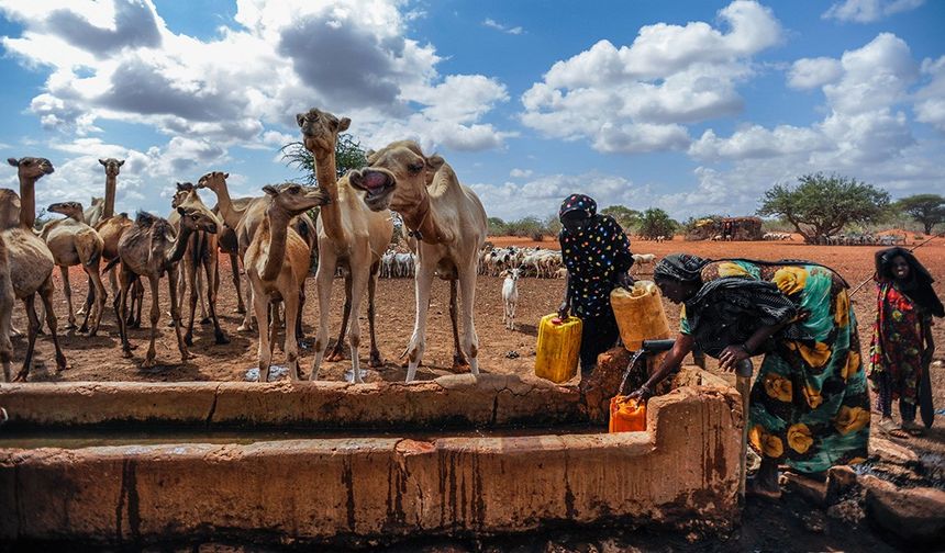 İklim krizi göçleri artırıyor: 10 yılda 250 milyon kişi evini terk etti!