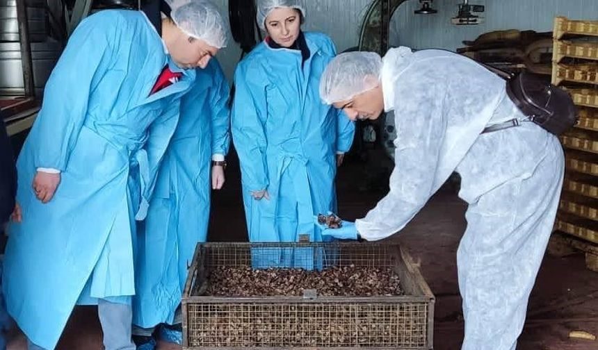 Afyon'da mama hammadde üretim tesisinde inceleme