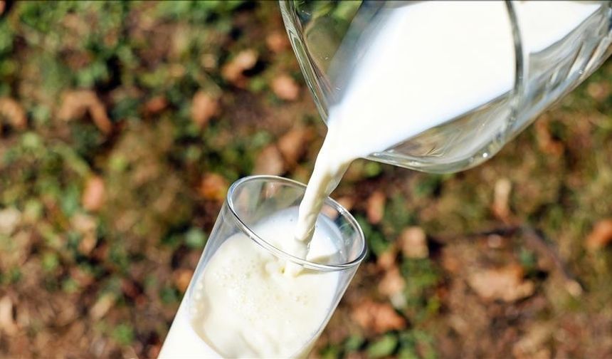 Eskişehir’de süt krizi kapıda: Yem zamları üreticiyi ezdi!