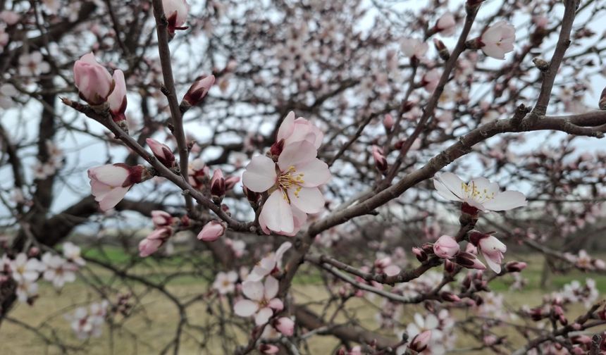 Eskişehir hava durumunda aldatan sıcaklık!
