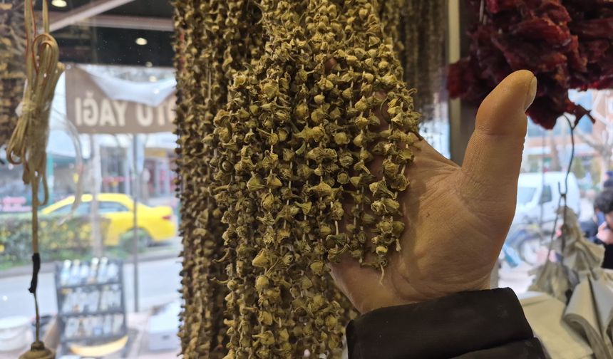 Eskişehirlilerin şifa kaynağı ama fiyatını görenin sağlığı bozuluyor!