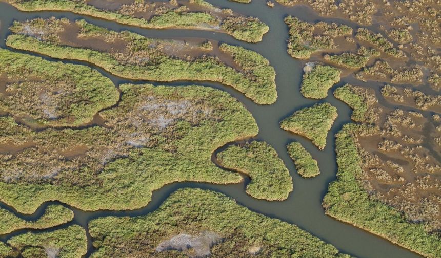 Gediz Nehri kirliliği izleniyor: İzmir Körfezi ve tarım tehlikede!