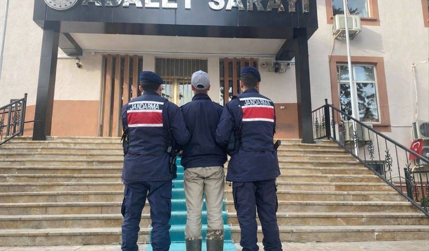 Köpek kaçarken silahına sarıldı, sonu cezaevi oldu!