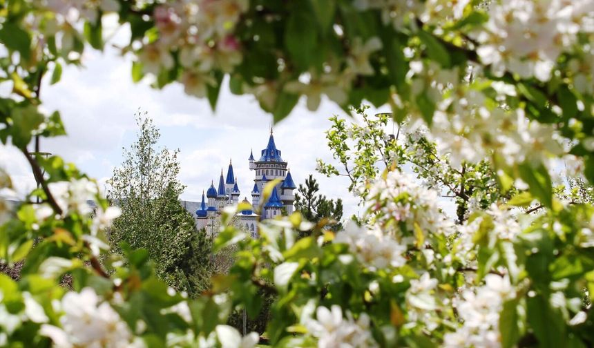 Eskişehir'de 12 yıl önce açıldı: Ziyaretçi sayısı 4 milyonu aştı!