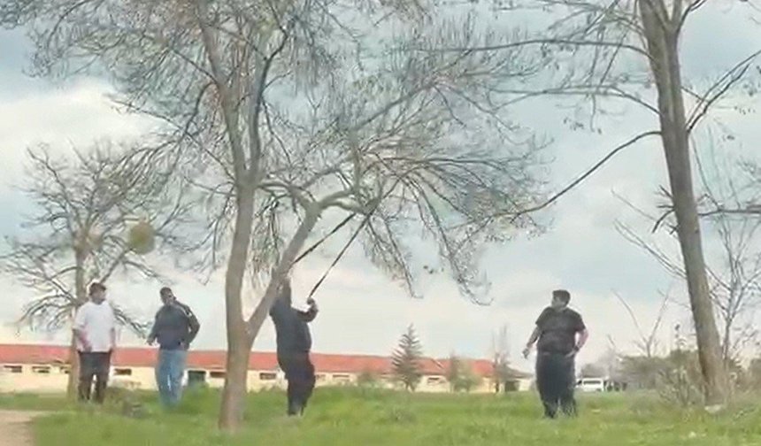 Eskişehir'de doğa düşmanları kameraya böyle yakalandı