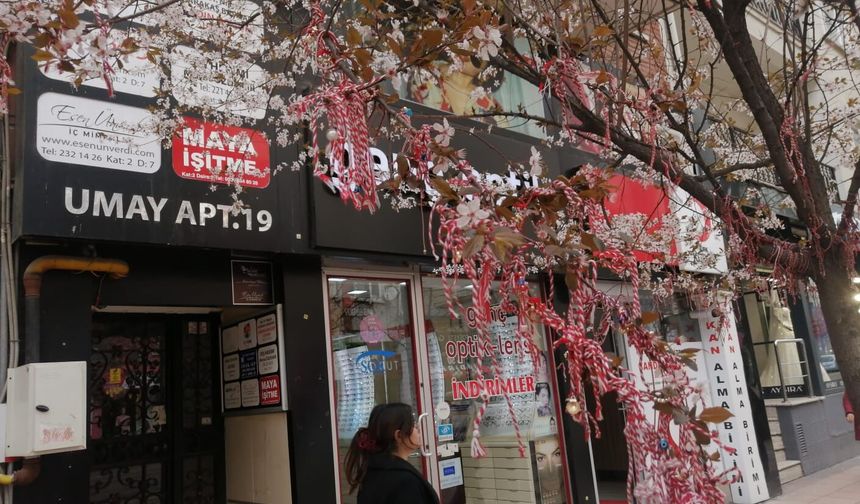 Eskişehir'de leyleği ve çiçeği gören astı: Ağaç rengarenk oldu