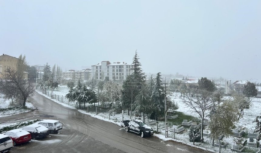 Eskişehir Mayıs ayında beyaza büründü!