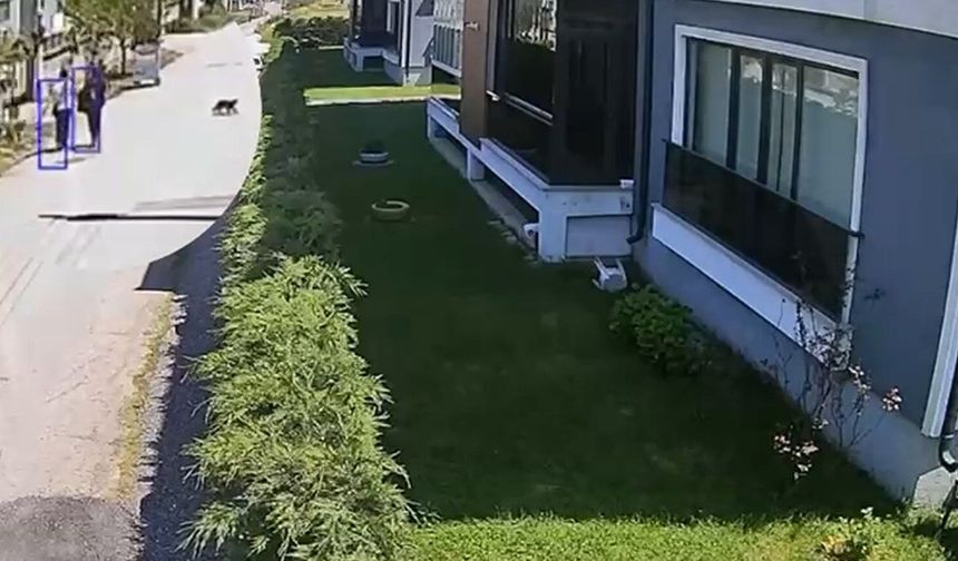 Eskişehir'den 2 saat uzaklığa hırsızlığa gittiler!