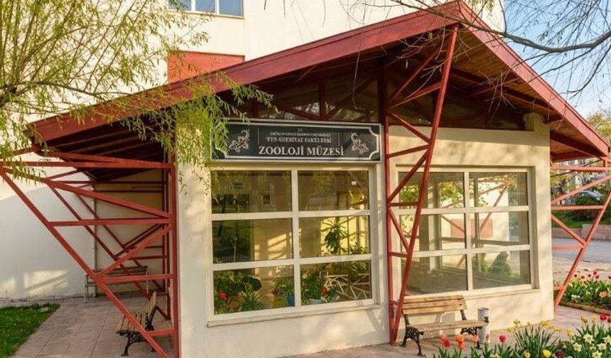 Eskişehir’de 34 bin hayvanın olduğu o bina yıkıldı: Yeni adresi şaşırtacak!
