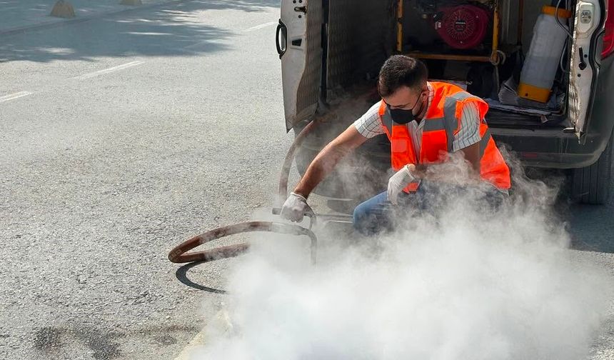 Bilecik'te haşerelere karşı ilaçlama seferberliği