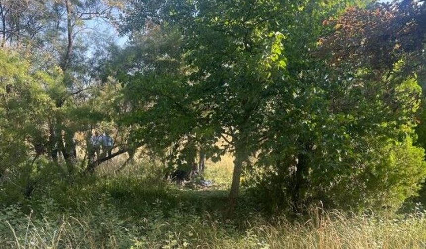Eskişehir'de ağaçlık alanda korkunç olay: Cansız bedenini gören telefona sarıldı