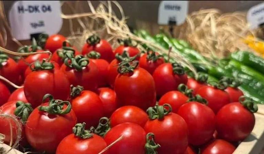 Eskişehir’de domates tarladan pazara gelene kadar kaç lira artıyor? Üretici ve vatandaşın hesabı