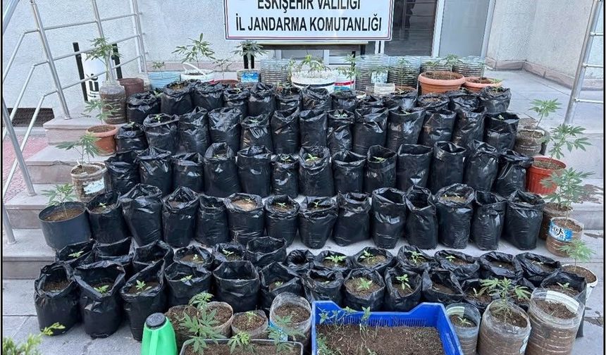 Eskişehir'de ev görünümlü zehir serasına baskın: Yüzlercesi ele geçirildi!