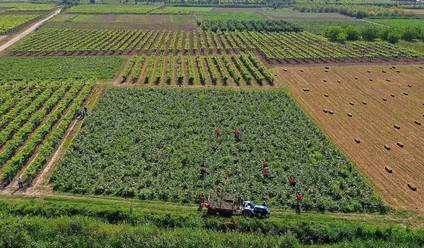 Eskişehirli çiftçi için destek değişti: Dekar katsayısı artırıldı, işte yeni rakam!