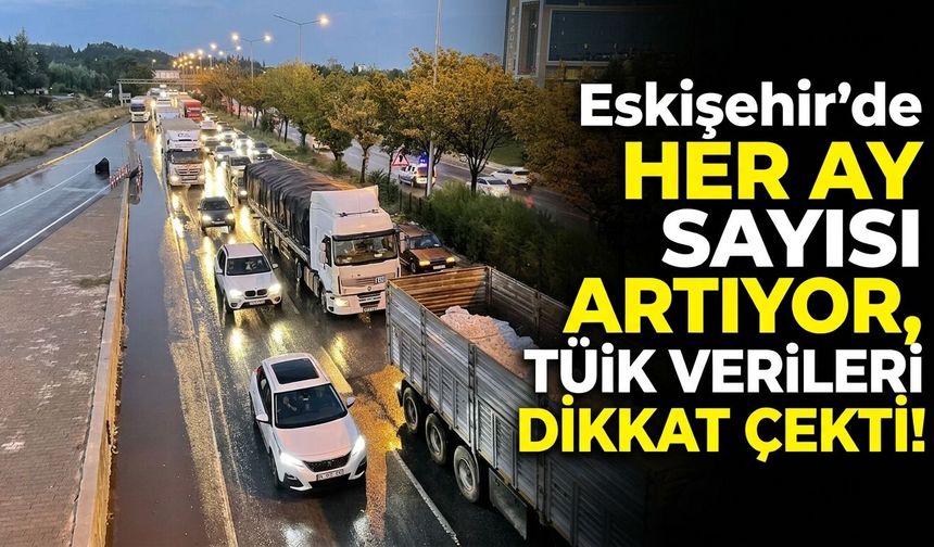 Eskişehir 'de her ay sayısı artıyor, TÜİK verileri dikkat çekti!