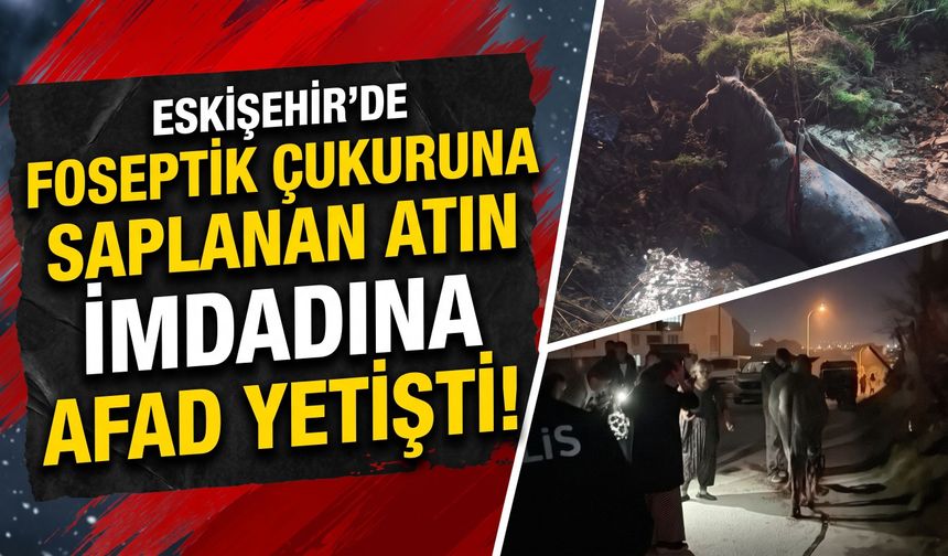 Eskişehir'de foseptik çukuruna saplanan atın imdadına AFAD yetişti