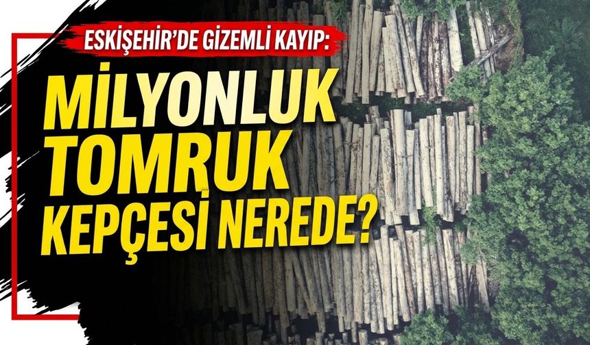 Eskişehir’de gizemli kayıp: Milyonluk tomruk kepçesi nerede?