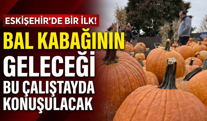 Eskişehir'de bir ilk! Bal kabağının Geleceği bu çalıştayda konuşulacak