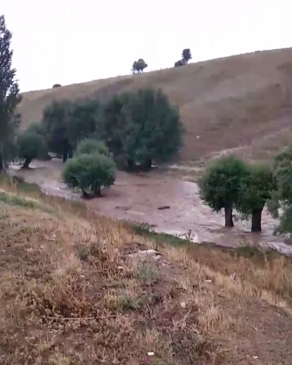 Eskişehir'in ilçesinde sel felaketi!