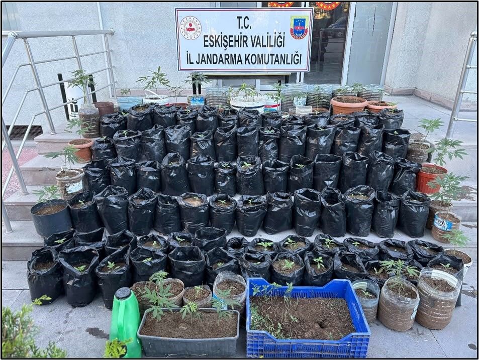 Eskişehir'de ev görünümlü zehir serasına baskın: Yüzlercesi ele geçirildi!