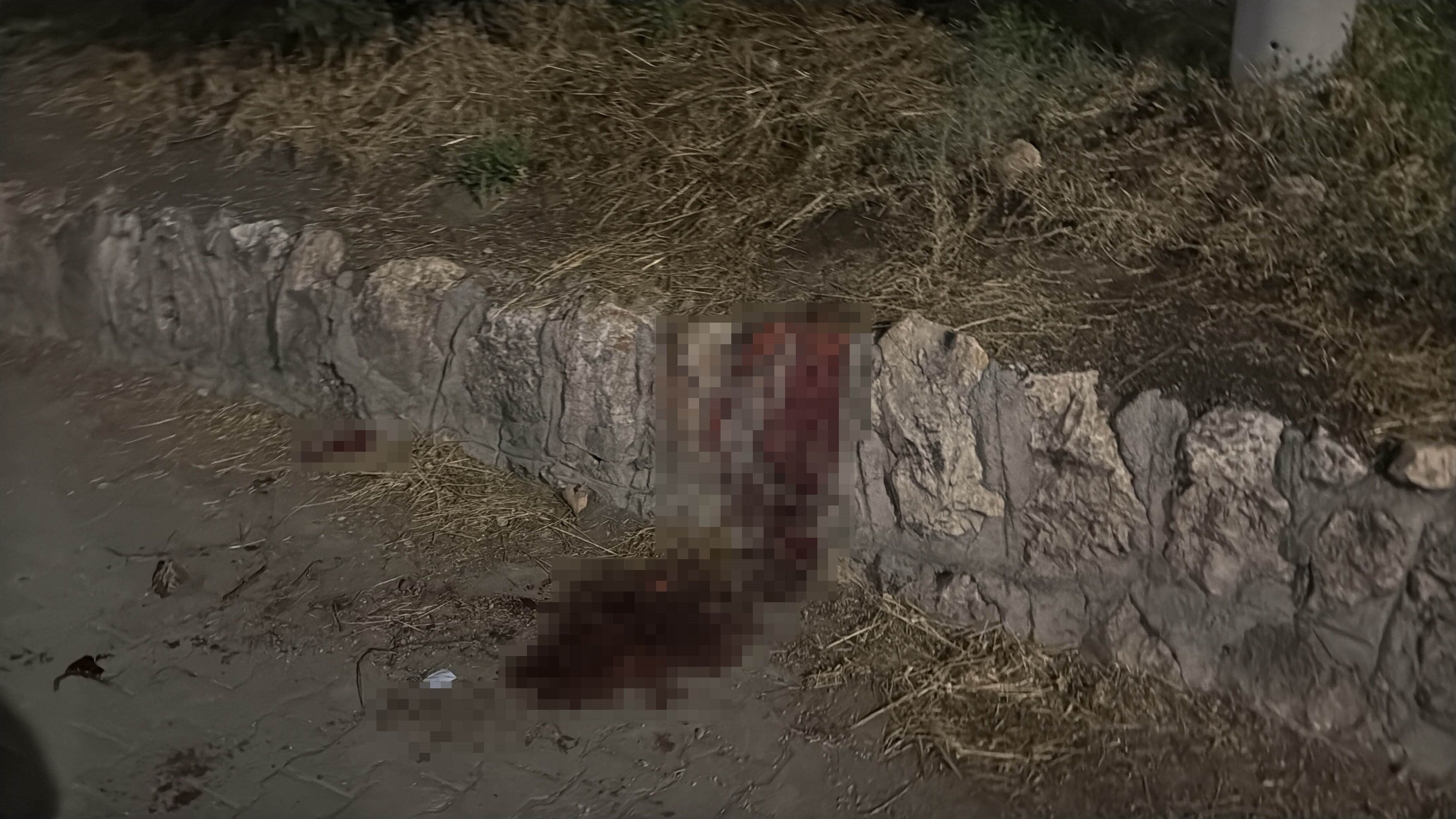 Eskişehir'de bıçakla dehşet saçtı: 17 yaşındaki çocuk yaşam savaşı veriyor!