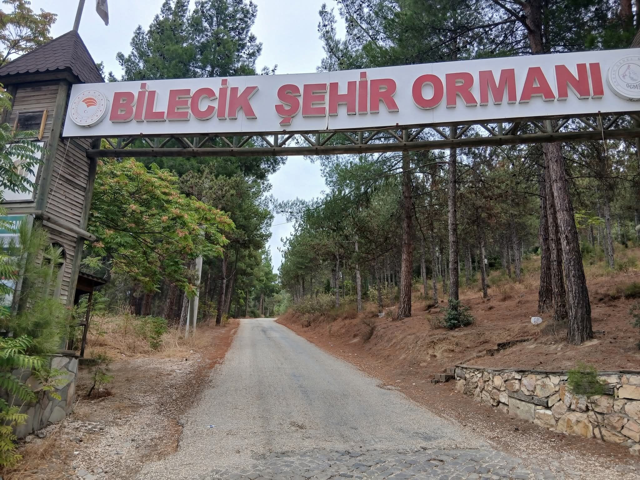 Bilecik'te vatandaşların uğrak noktası köstebek yuvasına döndü