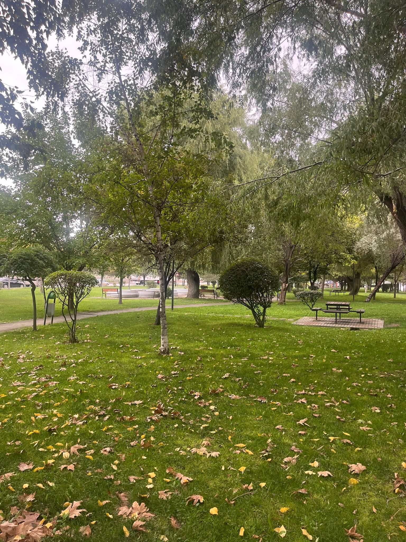 Eskişehir’de hava buz kesti, parklar boş kaldı!