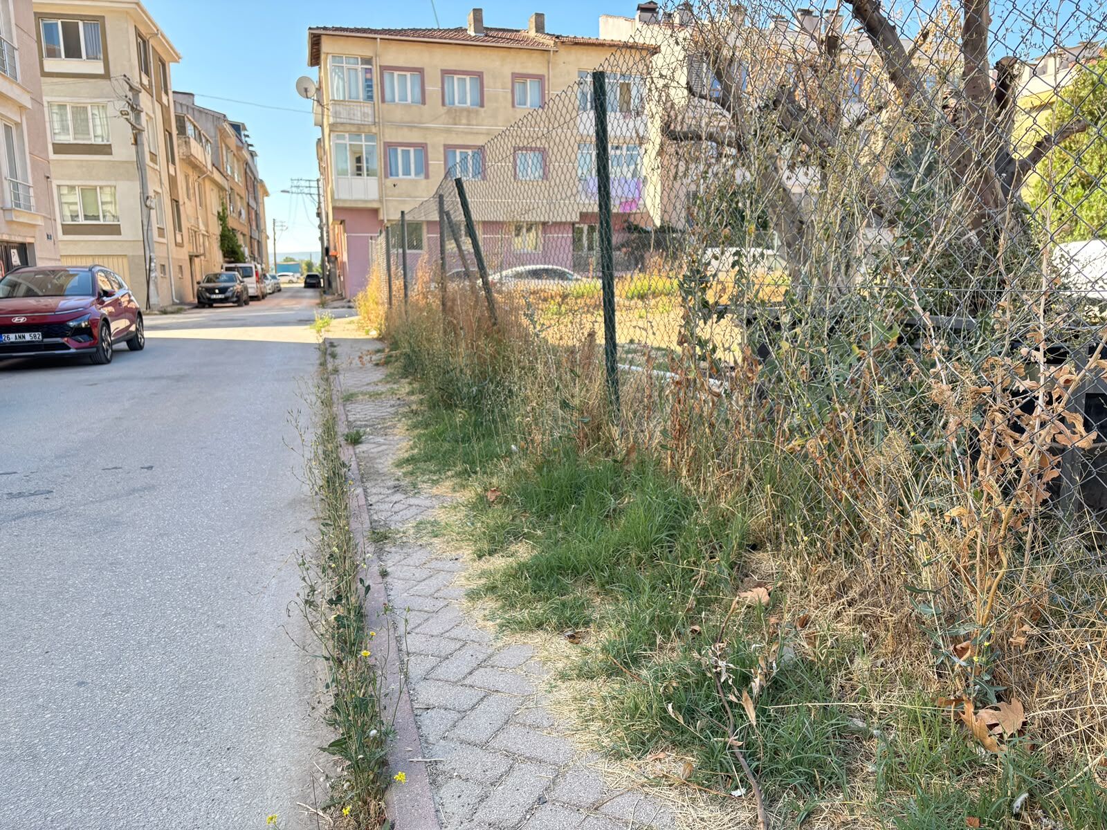 Eskişehir’de otlarla kaplanan kaldırımlar tepki çekiyor