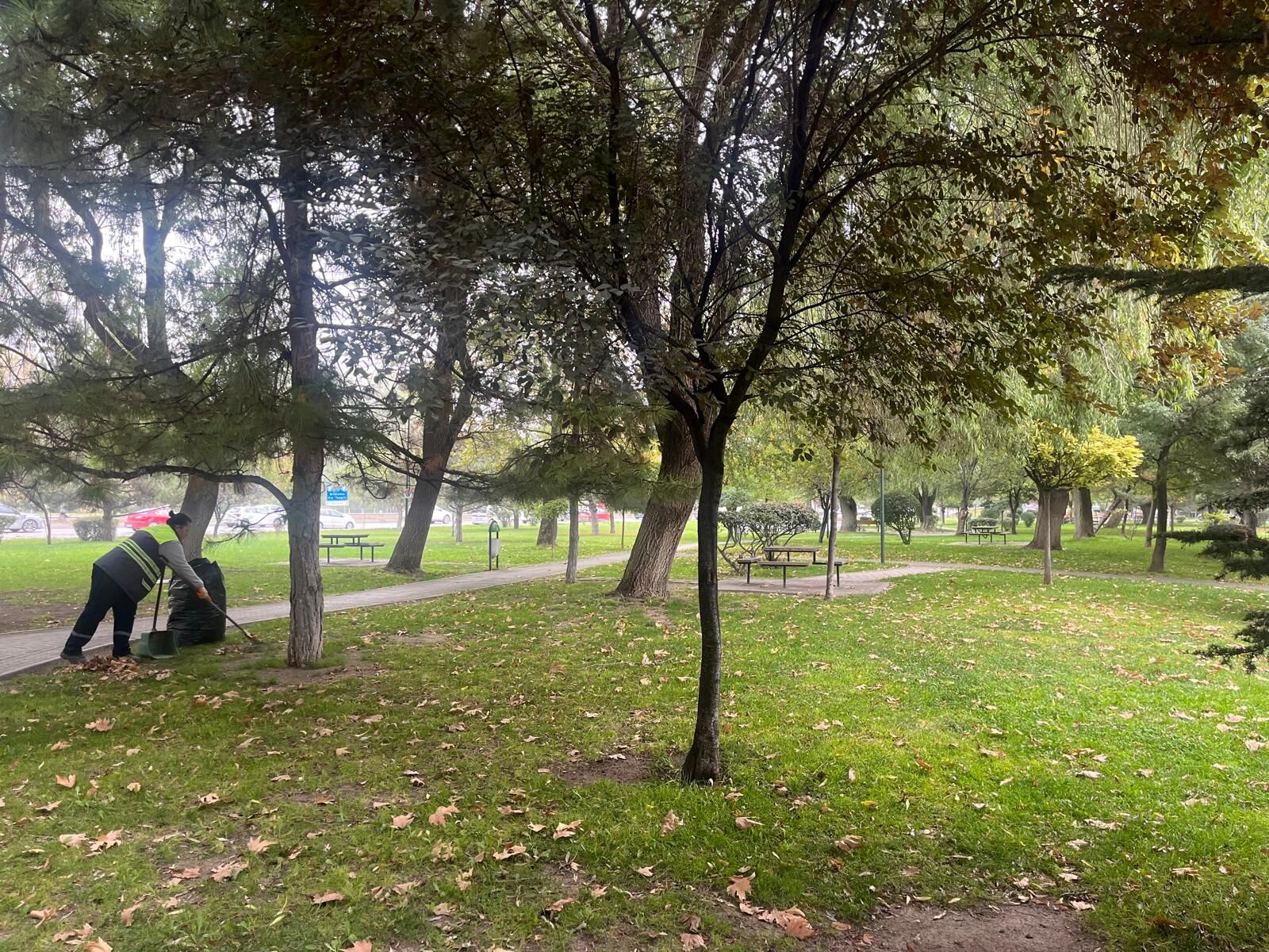 Eskişehir parklarında sonbahar temizliği